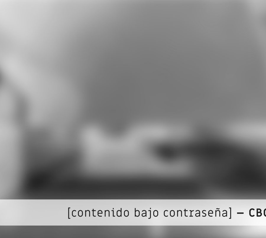 Protegido: Conjunto de vibradores con tolvas de acero